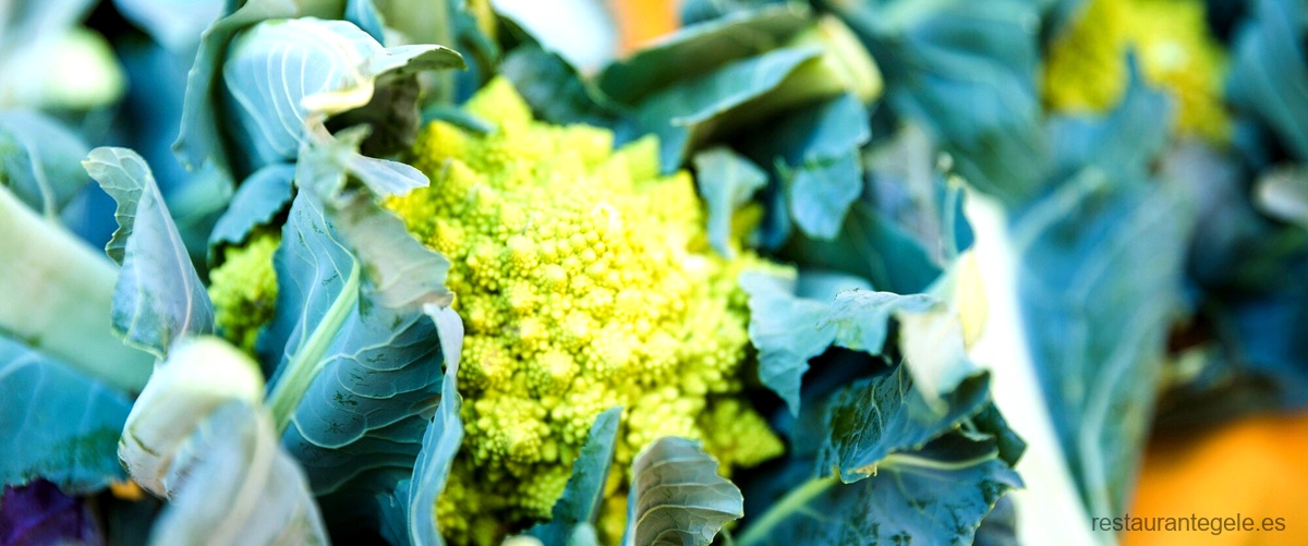 Opiniones sobre el brócoli congelado de Mercadona: ¿vale la pena probarlo?