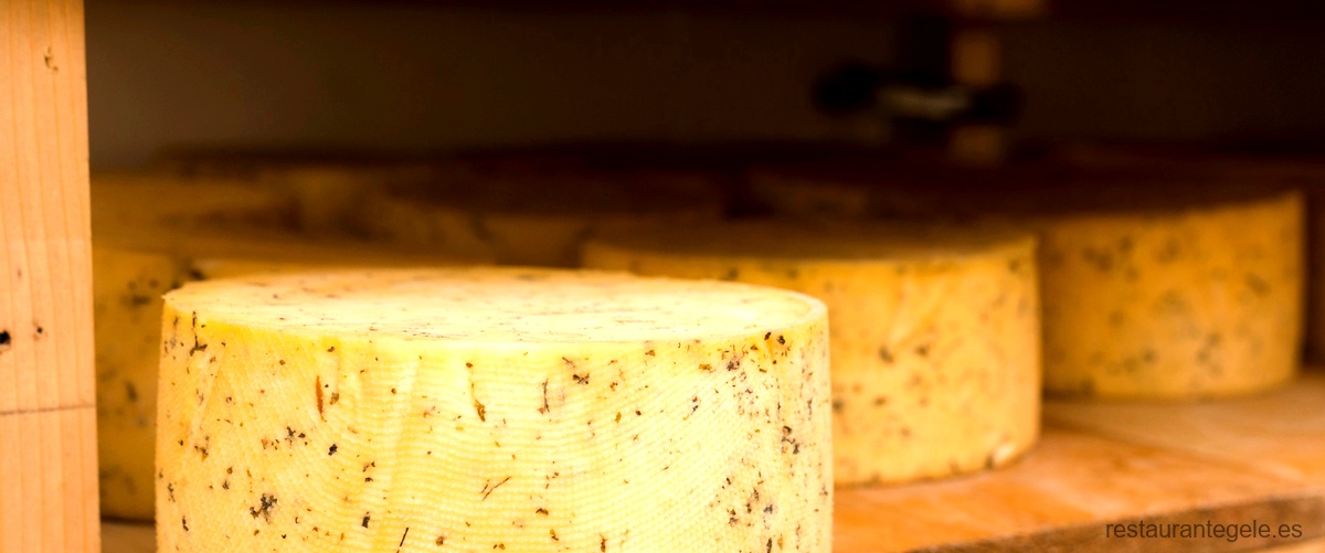 ¿Qué es y para qué sirve el queso Edam?
